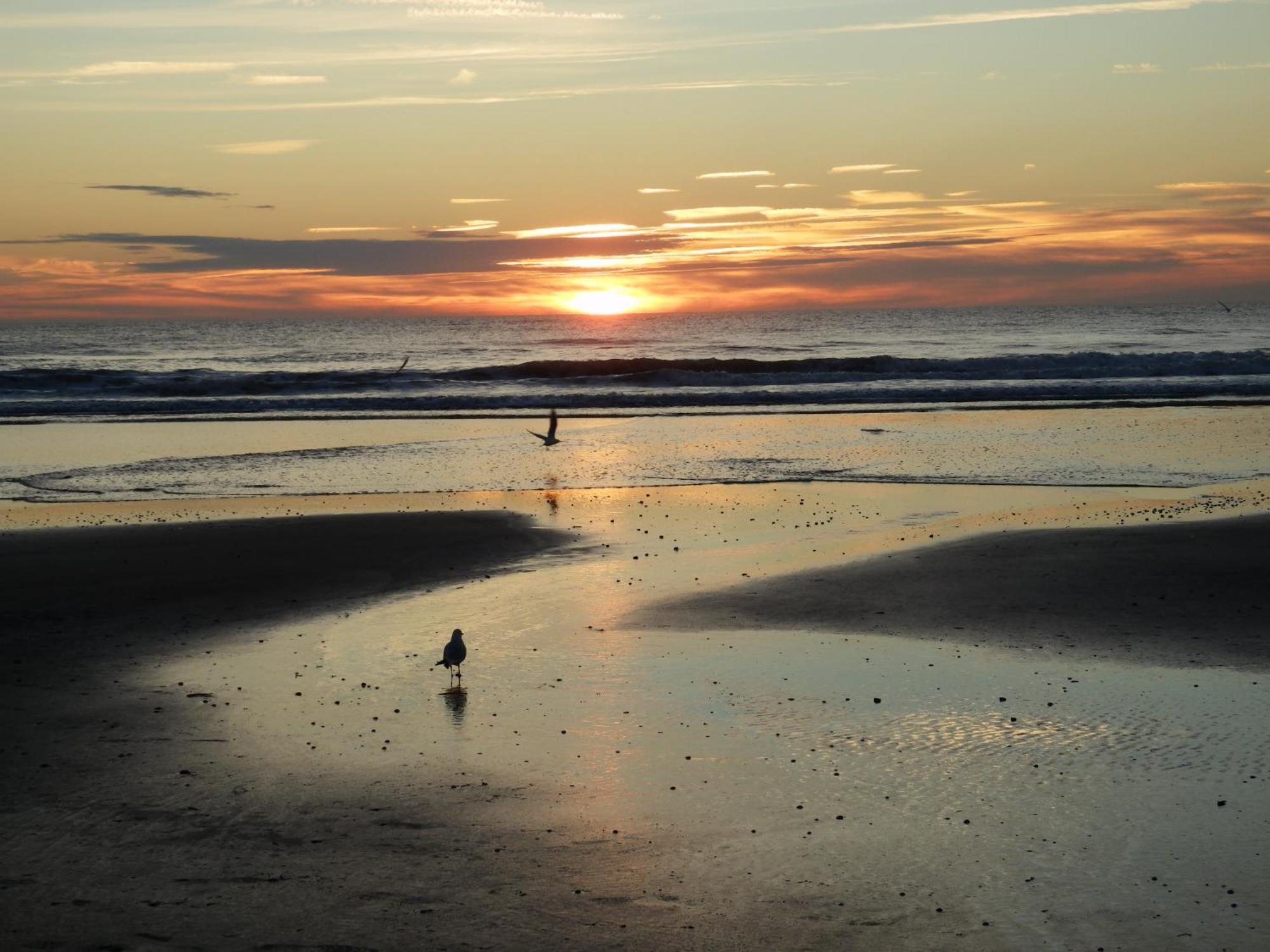 Bed and Breakfast Chez Blandine&Pol Hardelot-Plage Exterior foto